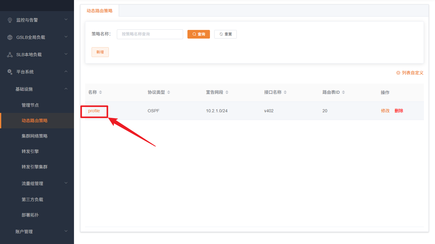 动态路由策略查看